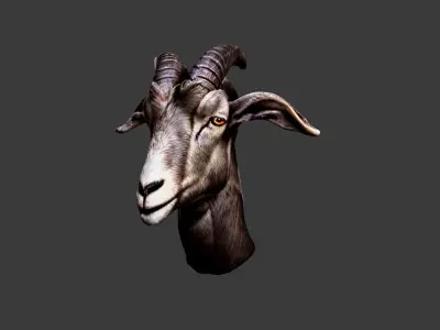 Deer Animal Head Low-poly 3D model 4