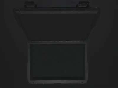 Protected Case Low-poly 3D model