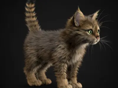 Kitten Tabby 3D model