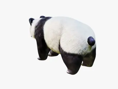 Panda Free 3D model buy