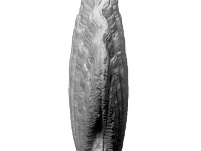 Sea Shell Scallop 3D model 3D model