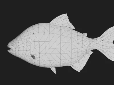 Carp fish Low-poly 3D model order