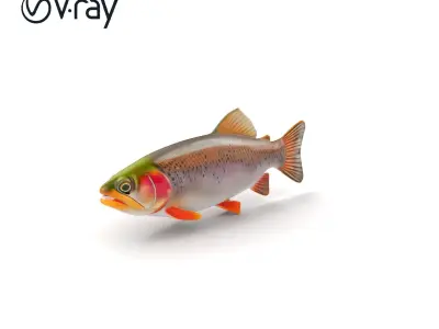 Lahontan Cutthroat Trout Lifelike Model Pack Low-poly 3D model