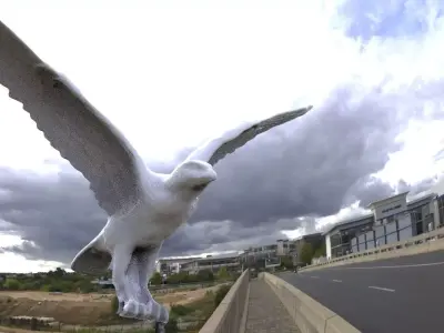 Flying Bird 3D model