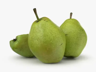 Pear Fruit 1 3D model