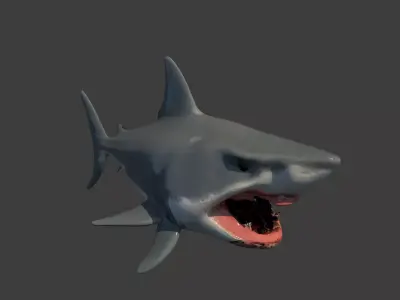 Shark Base Model  3D model