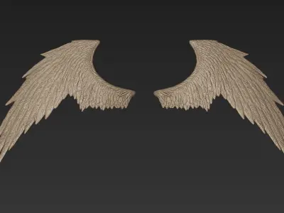 Wings 3 Zbrush Sculpt 3D model