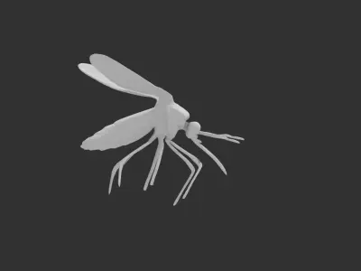 Mosquito 3D model buy