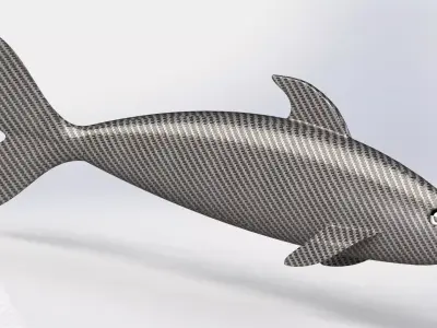 fish surface loft Free 3D model