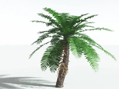 EVERYPlant Pseudoctnis Cycad 3 --12 Models-- 3D model