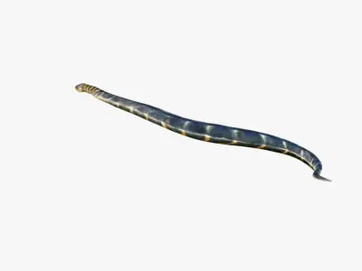 Anaconda Free 3D model