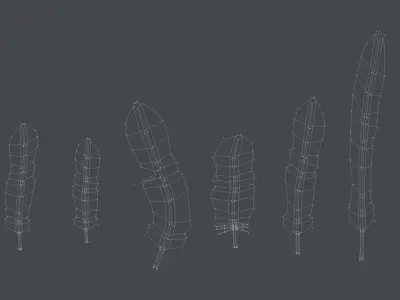 Feathers group of Low-poly 3D model