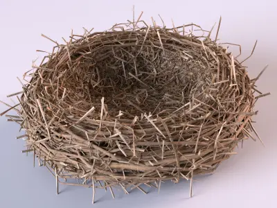 Bird Nest 3D model 2