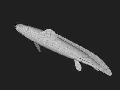 Bichir Low-poly 3D model shop