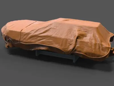 Lifeboat covered 3D print model