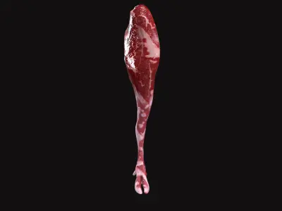 Goat Leg V02 Low-poly 3D model