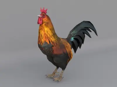 Rooster Low-poly 3D model purchase