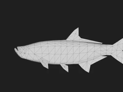 Tarpon Low-poly 3D model purchase