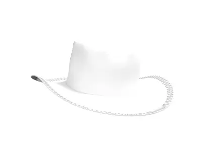 3D Cowboy Hat  Low-poly 3D model