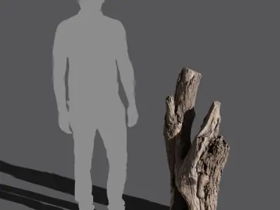  Tall Cut V-Shaped Deciduous Stump Model 