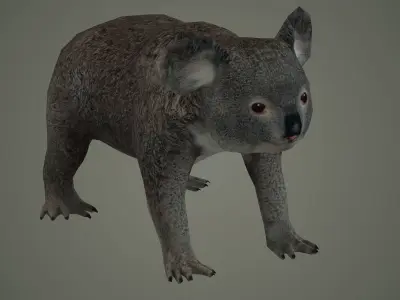 cute nature art animal mammal rat wildlife animals koala bear 3D model