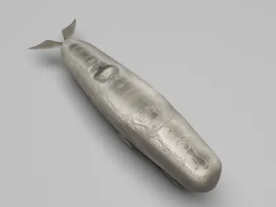 Sperm Whale 3D model shop