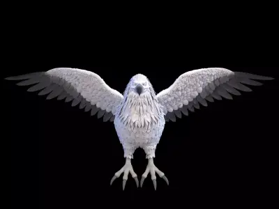 Eagle RIG 3D model