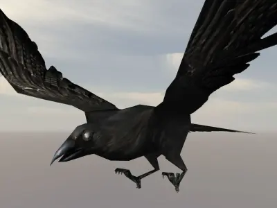 Birds Pack Low-poly 3D model
