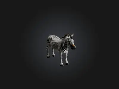 Realistic Zebra Model Low-poly 3D model purchase