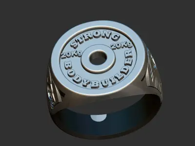 Weight Plate Ring - Anel Anilha 3D print model
