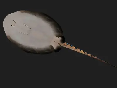 Stingray Low-poly 3D model