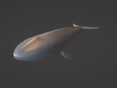 Whale  Low-poly 3D model