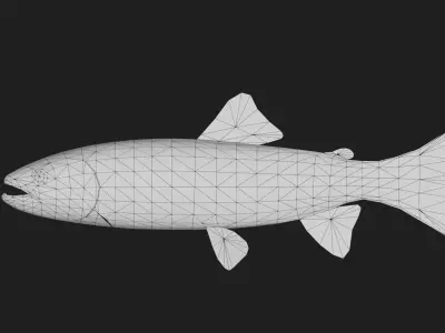 Trout Low-poly 3D model 4