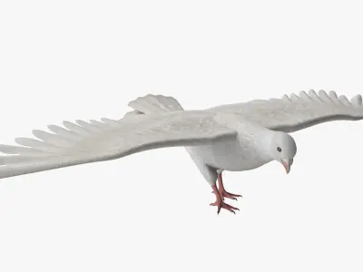  Lowpoly Dove Wings Extended White Rigged 