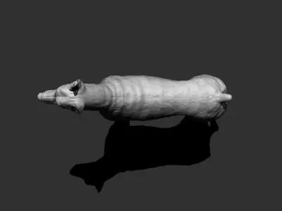 Doberman Dog 3D model