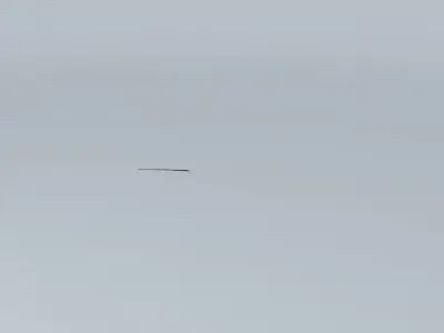Eco Rail Roadway Rail/Tram Track L/Point Old Steam Days Free 3D model