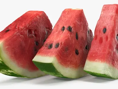 Sliced Watermelon Collection 3D model