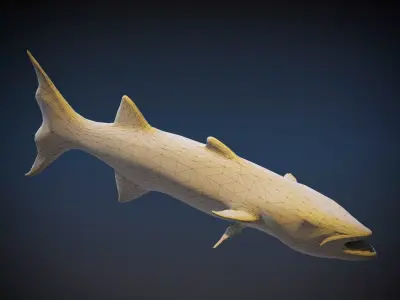 Barracudas 3D model purchase