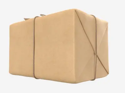 Parcel wrapped in kraft paper 3D model