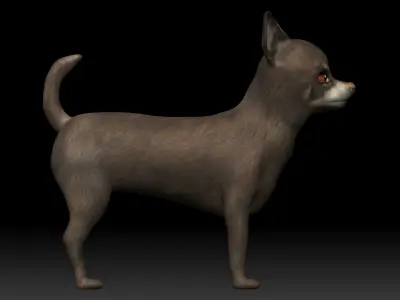 Chihuahua Dog Low-poly 3D model