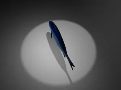 Blue perch Low-poly 3D model