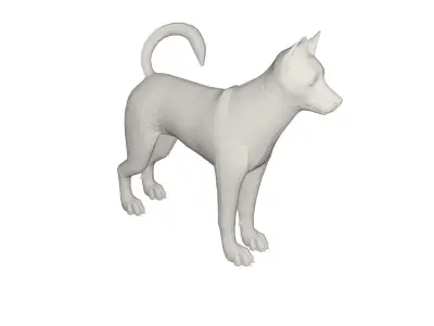 Husky chihuahua dog 3D model