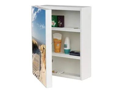 Lockable Medicine Cabinet 3D model