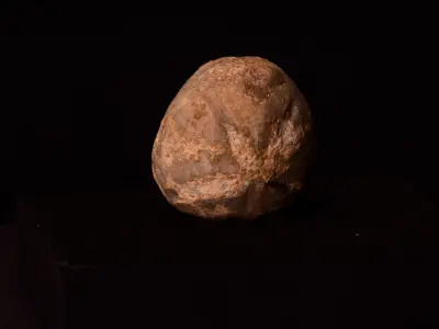 Cretaceous Echinoid Macraster complete Free 3D print model