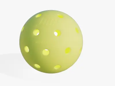 Outdoor Pickleball 3D model