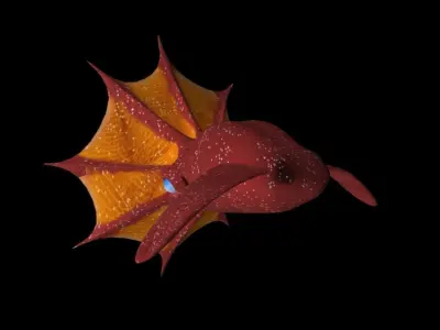 3d Vampire Squid Fish Low-poly 3D model