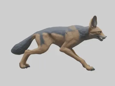 Jackal prowling model Low-poly 3D model