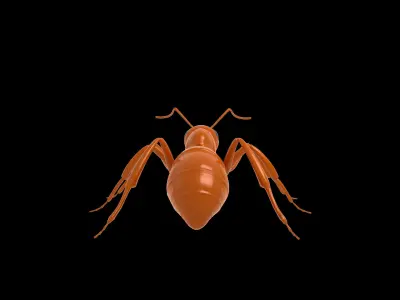 Ant Rig 3D model