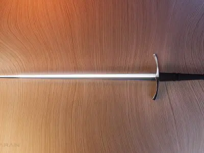 Italian Long Sword 3D model