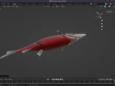 Sockeye Salmon Low-poly 3D model